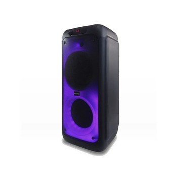 Parlante PANABOX 100W