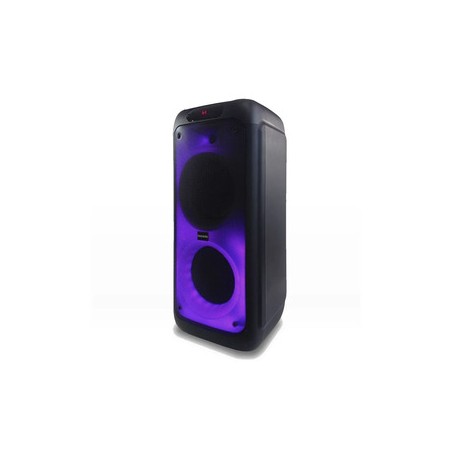 Parlante PANABOX 100W