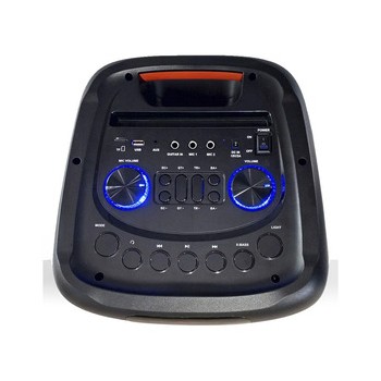 Parlante PANABOX 100W