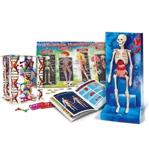 Clementoni 55089 Cuerpo humano