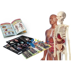 Laboratorio de Anatomía Clementoni