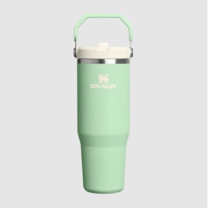 Botella Stanley 0.89Lt - 30oz Classic Flip Straw 2.0 Tumb Pistachio
